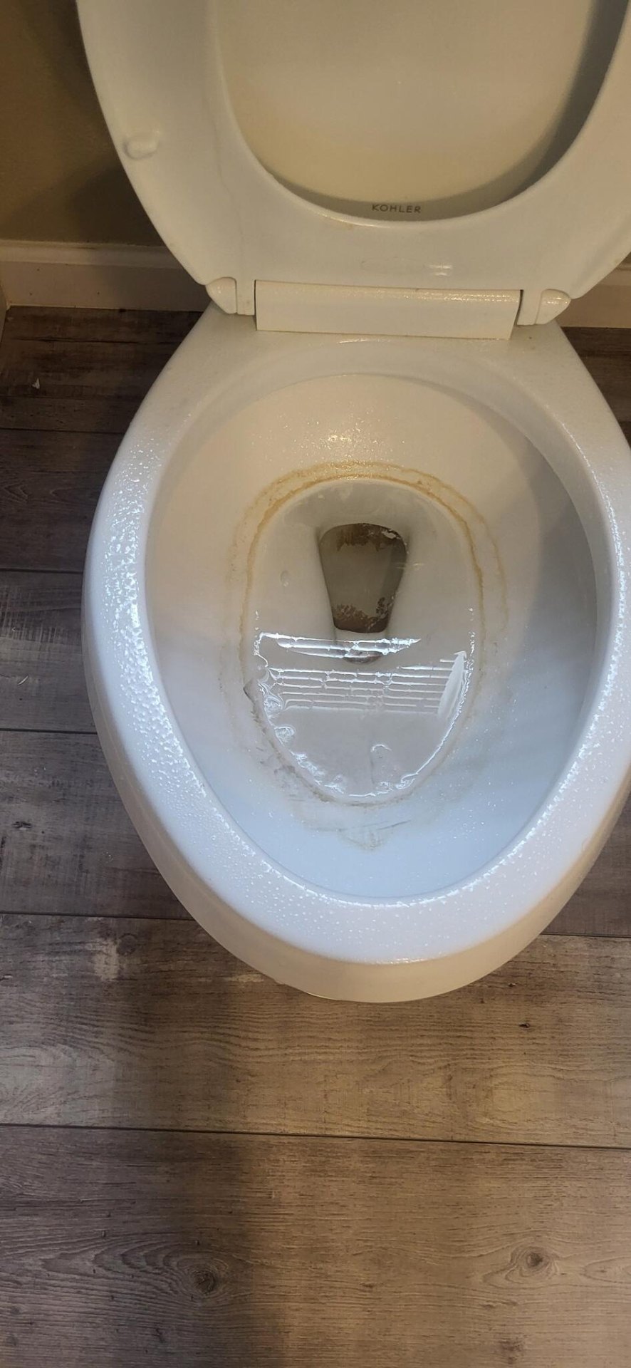 Toilet deep clean — before
